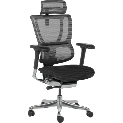 Ergohuman Ергономичен стол ergohuman ioo elite 2 - черна рамка - черен (3520667)