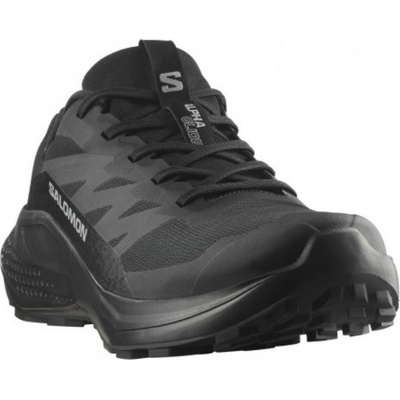 Salomon Alphaglide GTX M L47802100 black asphalt black