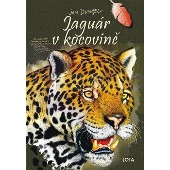 Jaguár v kocovině