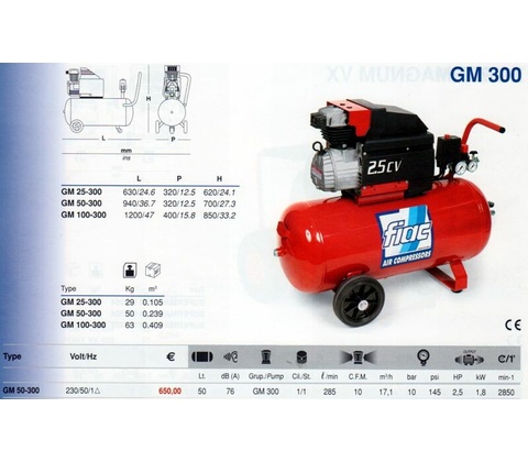 FIAC GM 300