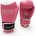 Evolution PRO