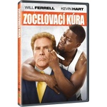 MagicBox Пандиз експерт - dvd (009755)