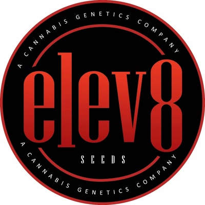 Elev8 SeedsBeaver Cookies semena neobsahují THC 3 ks