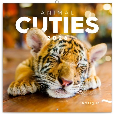 poznámkový Mláďata 30 x 30 cm 2026 – Zboží Dáma