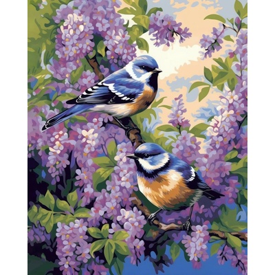 ZUTY Obrazy na stenu - Sediaci pár vtákov na konári Rámovanie: vypnuté plátno na rám, Rozmer: 40x50 cm