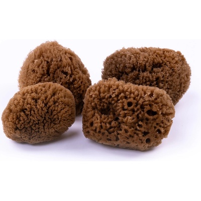 Caribbean Sun přírodní mořská minerální houba kosmetická 5 6 cm