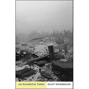 Elemental Thing | Eliot Weinberger (ISBN: 9780811216944)