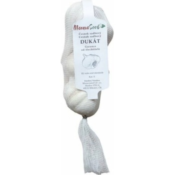 Česnek paličák sadbový DUKÁT, MoravoSeed, 4 ks