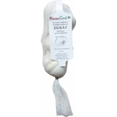 Česnek paličák sadbový DUKÁT, MoravoSeed, 4 ks