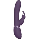 Vive Taka rabbit
