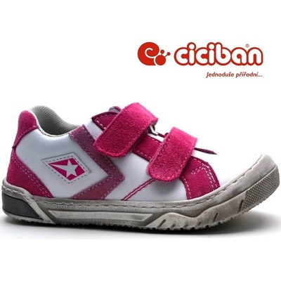 CICIBAN 281907 Seven Azalea
