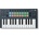 Novation FLkey Mini