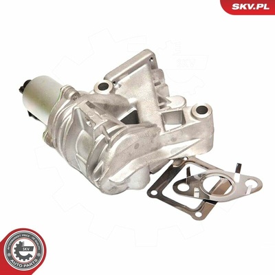 AGR-Ventil ESEN SKV 14SKV036