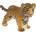 Papo Фигурка Papo Wild Animal Kingdom - Малко тигърче (50021)