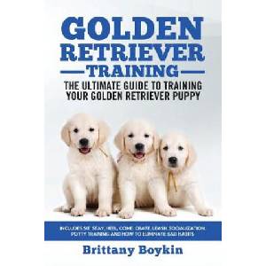 Golden Retriever Training - the Ultimate Guide to Training Your Golden Retriever Puppy | Brittany Boykin (ISBN: 9781950010059)