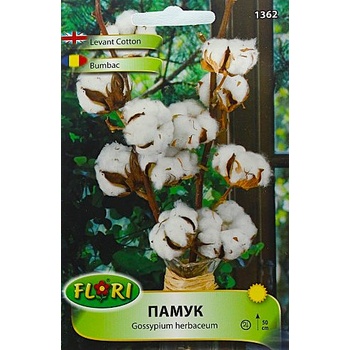 Флориан Бял памук Gossypium herbaceum