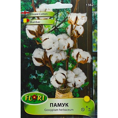 Флориан Бял памук Gossypium herbaceum