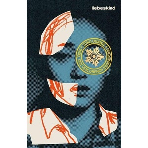 Insel der verlorenen Erinnerung | Sabine Mangold (ISBN: 9783954381227)