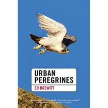 Urban Peregrines Drewitt Ed