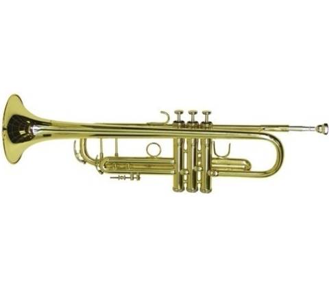 Dimavery TP-20