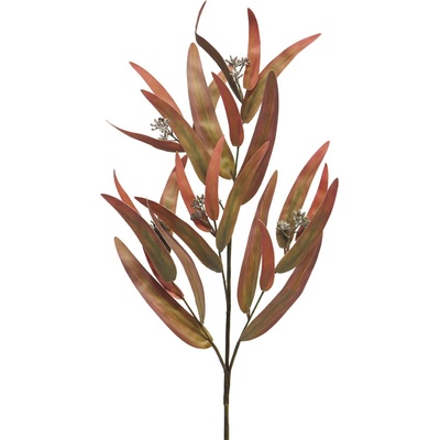 Listnatec (Ruscus) větev fialový 81 cm