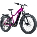 Leader Fox Brasa 2024