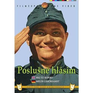 DM discont I Dutifully Report - DVD (003673)