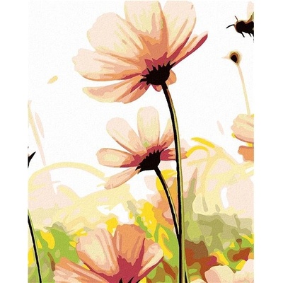 Zuty Malování podle čísel Květy na louce 80 x 100 cm vypnuté plátno na rám