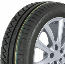 Profil Wintermaxx Evo