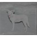 AO - Malandra (Digipak) (CD)