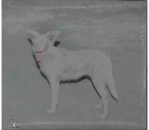 AO - Malandra (Digipak) (CD)
