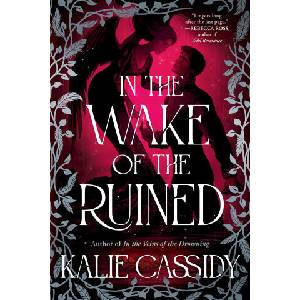 In the Wake of the Ruined (ISBN: 9780316587587)