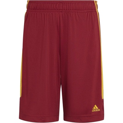 adidas BURGUNDY/gold