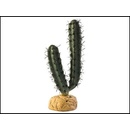 Hagen Exo Terra rostlina Finger Cactus 1 ks