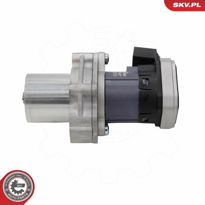 AGR - Ventil ESEN SKV 14SKV305