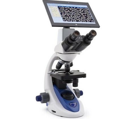 Optika B-190 1000×