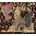 V/A - V/A - THAT LL FLAT GIT IT! VOL. 48 CD