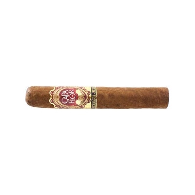 Capa Flor Robusto Connecticut 20 ks
