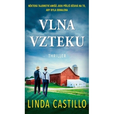 Vlna vzteku - Linda Castillo