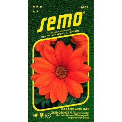 Semo Gazánie zářivá - New Day Clear Orange F1 15s