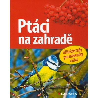 Ptáci na zahradě - Schmid Ulrich