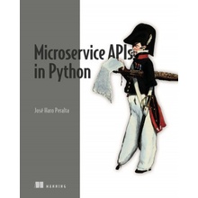 Microservice APIs in Python