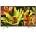 Sony Bravia KD-60XF8305