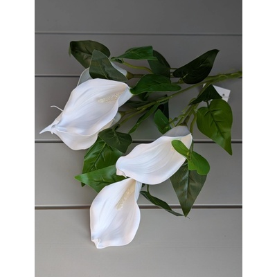 Sempro Kytička KALA 102B biela 40cm