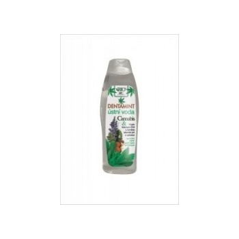 BC Bione Cosmetics Dentamint ústní voda Cannabis 500 ml