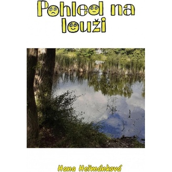 Pohled na louži - Hermánková Hana, Brožovaná