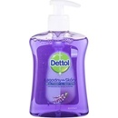 Dettol Antibakterial tekuté mydlo s levanduľou a výťažkami z hrozna dávkovač 250 ml