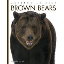 Brown Bears Riggs Kate