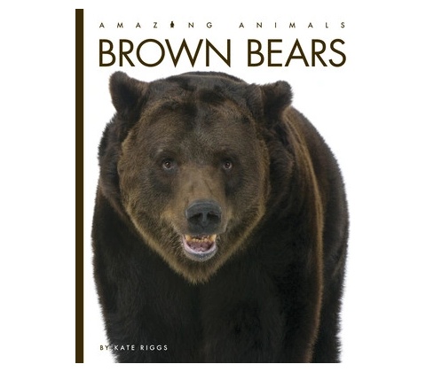 Brown Bears Riggs Kate