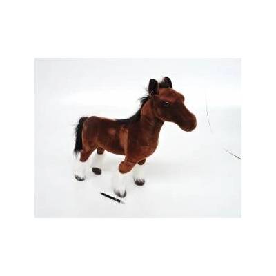 Dubi Con shire 55cm
